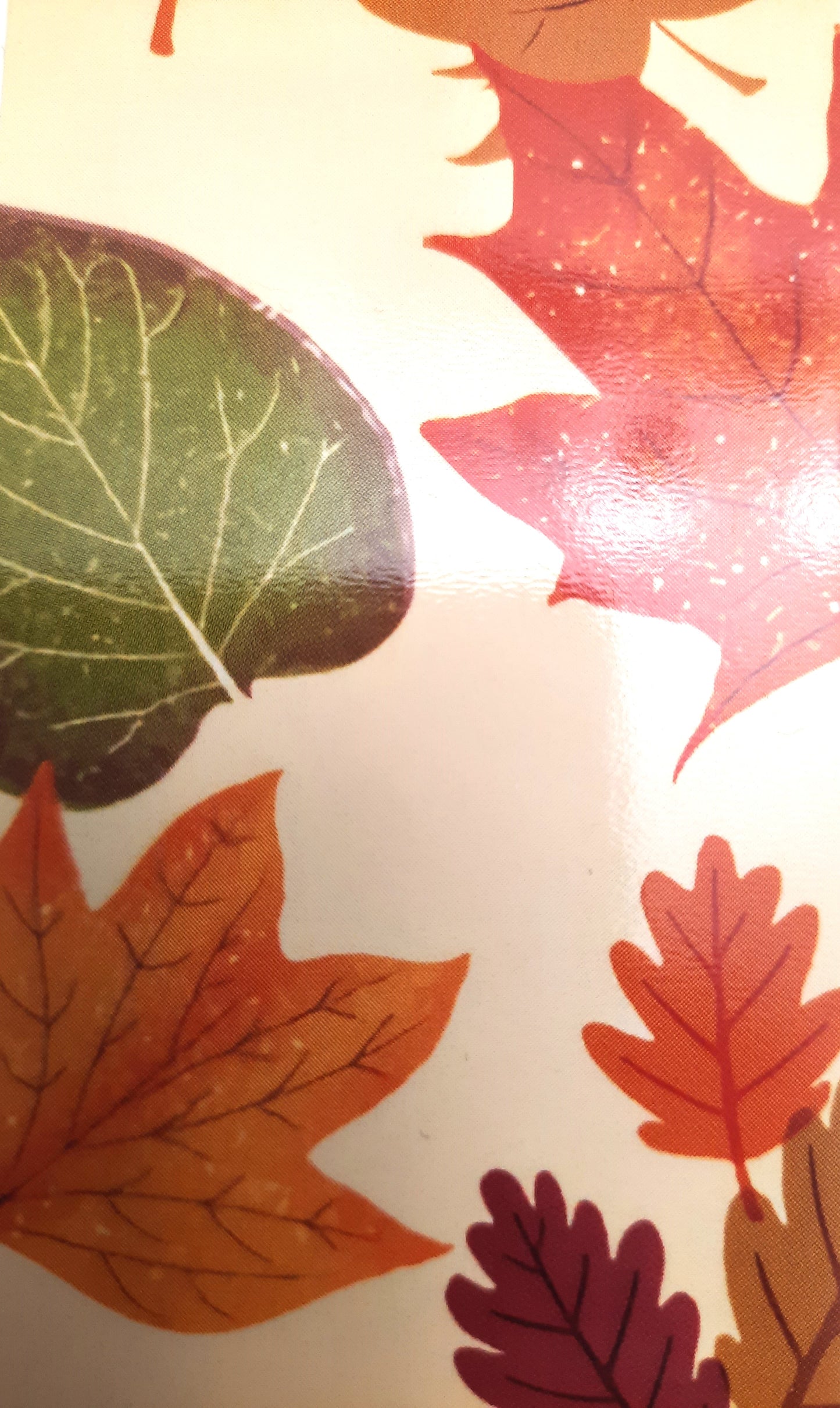Autumn Leaves Bookmark